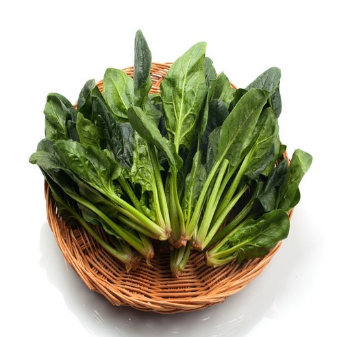 새벽경매 노씨고집 국내산 남해 시금치, 1개, 4kg