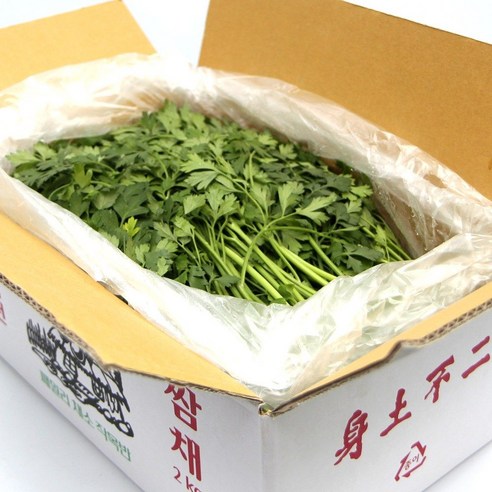 국내산 특품 이태리파슬리 한박스 2kg 이탈리안파슬리 향나물