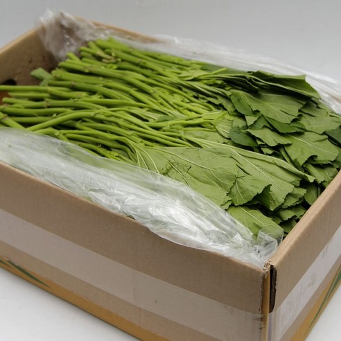 국내산 특품 아욱 한박스 4kg 나물 아욱국 가락시장 당일새벽경매, 4kg, 1개