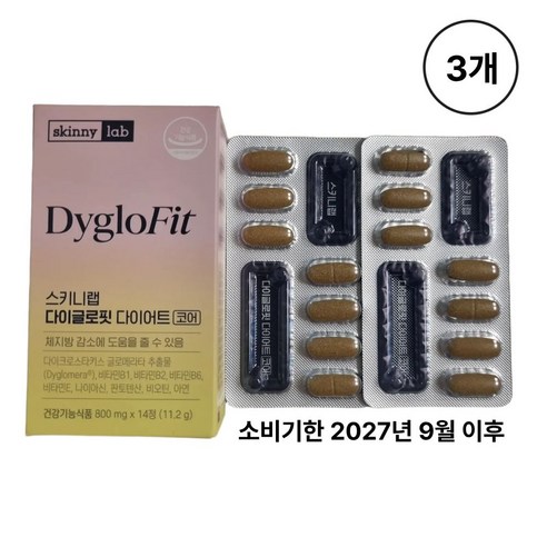 스키니랩 다이글로핏 다이어트 코어