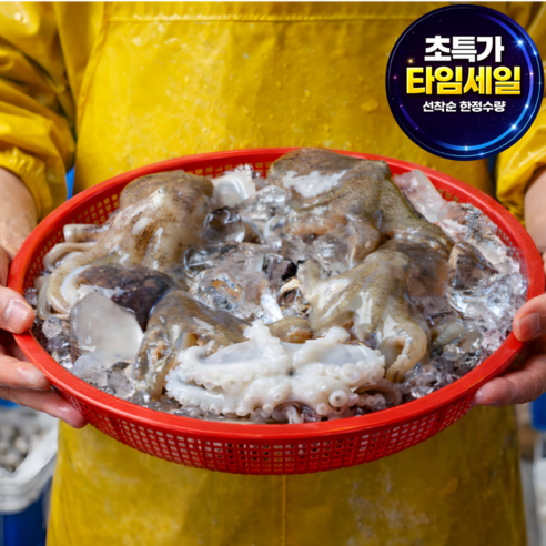 [특가오픈] 새벽조업 선별직송 쫄깃담백 쭈꾸미