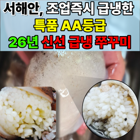 [한정특가] 싱싱한 알쭈꾸미 알배기 급냉 쭈꾸미
