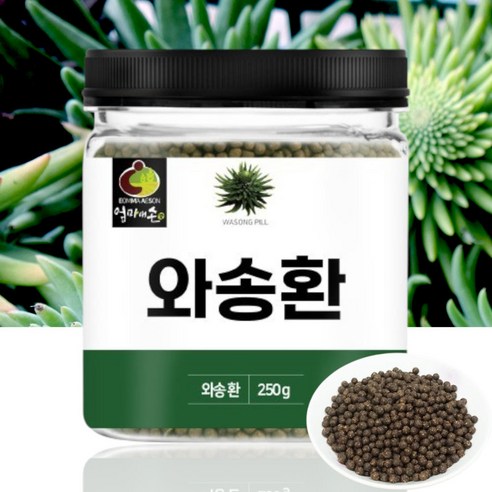 백세약방 국내산 와송환 깨끗한 100% 국산 기와솔환 바위솔 효능