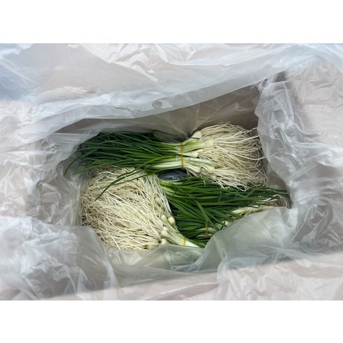 알짜한 봄나물 달래 산지직송 국내산 세척 달래 1kg(실중량)