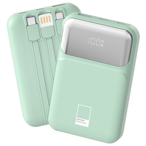 팬톤 PD 22.5W 초고속충전 대용량 케이블 일체형 미러 보조배터리 10000mAh PGB-20, Summer Leaf