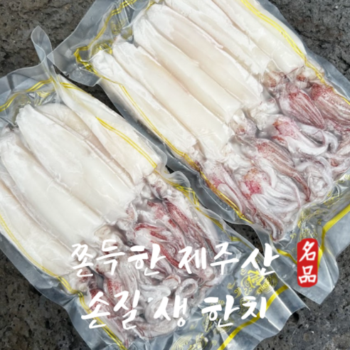 제주한치 당일조업 쫄깃한 생 한치