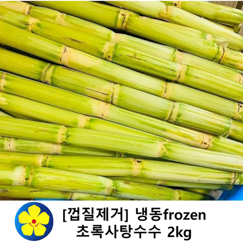 냉동 껍질제거 초록사탕수수 생 스틱( 베트남산)