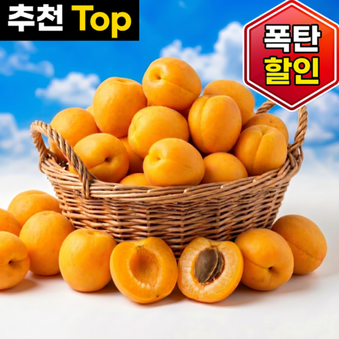 [폭탄할인] 햇 살구 달콤한 국내산 하우스살구
