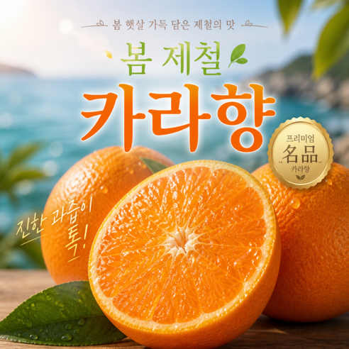 [30box한정출고]최저가도전 극가성비 진한과즙 가정용 카라향