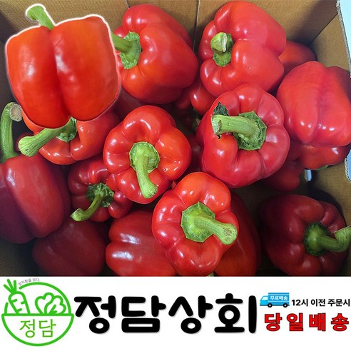 [ 정담상회 ] 국내산 빨강파프리카 홍파프리카 못난이파프리카 1kg, 2kg, 5kg 내외(사이즈 랜덤)