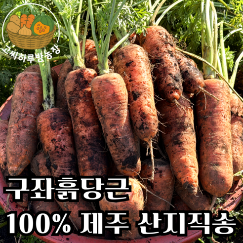 [고씨하루방농장] 제주명품 햇당근 구좌흙당근, 1박스, 10kg (중)