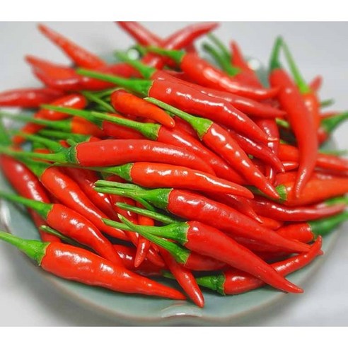 베트남 생고추 OT CAY TUOI VIET NAM, 1박스, 200G