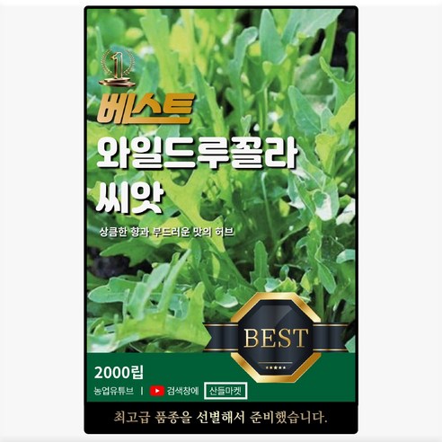 베스트 와일드 루꼴라 씨앗 2000립 향이 강하고 오래 수확하는 루꼴라씨 종자, 1개