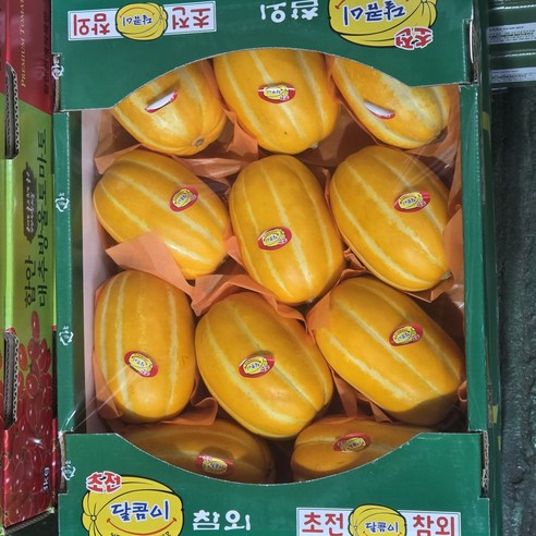 [가락시장직송] 새벽경매 고당도 18brix 정품 성주참외