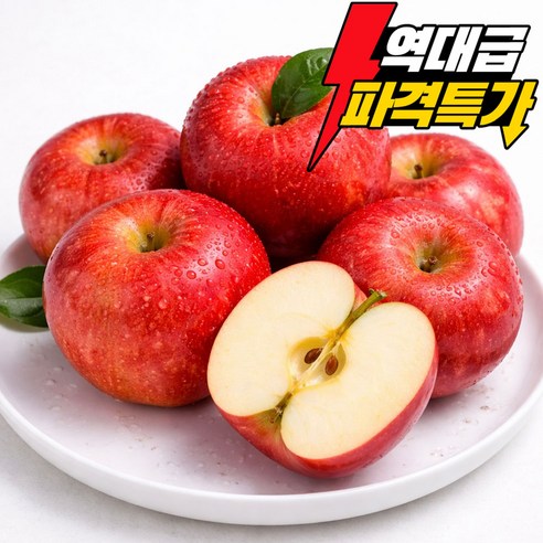 [200박스한정] 고당도 꿀 청송 사과 부사
