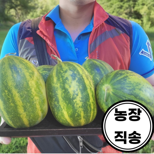 [고니네농수산] 농장직송 당도보장 파파야메론 개구리참외