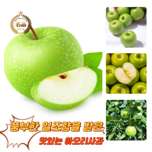 [굿피플] 썸머킹사과 못난이 아오리사과 청사과 풋사과