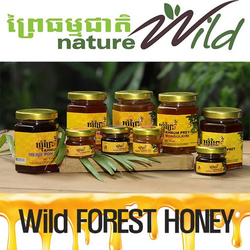 와일드 허니 자연산 목청꿀 캄보디아산 nature wiild (28g,230g,500g,1kg) 크레티에, 28g, 1개