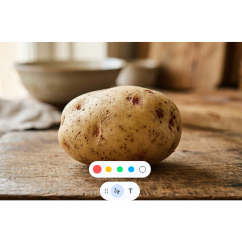 스테비아 감자, 1개, 1.6kg