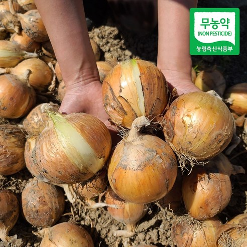 친환경 마음밭 국내산 유기농 무농약 이유식 흰양파 3kg 5kg 10kg, 1개