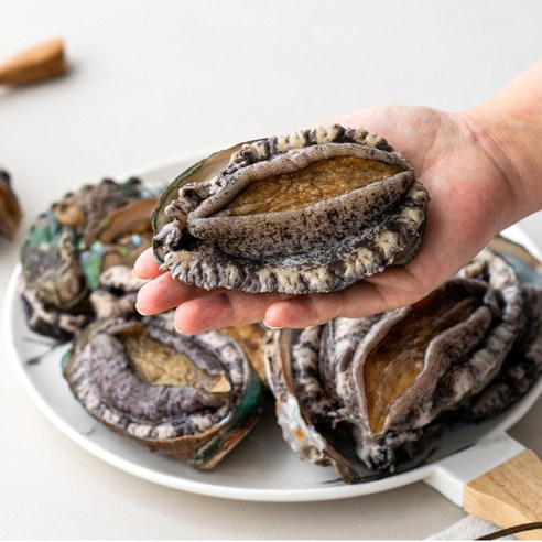 완도다시마 활전복 대 1kg 12 미 마리당85g내외 8cm내외(횟감용), 12개, 85g
