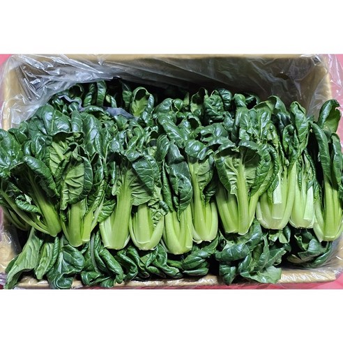 [하루채소] 국내산 비타민 2kg 가락시장 직배송