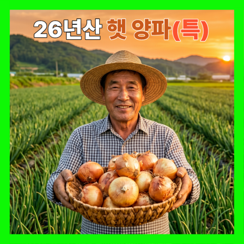 [만족도1위] 26년산 아삭달큰 국내산 햇양파