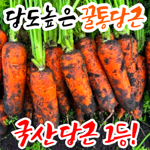 [국산당근1등] 꿀통당근 초특가 국내산 햇 당근, 1박스, 왕 10kg