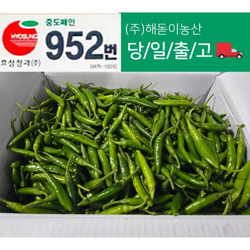 <해돋이농산> 국내산 못난이 햇 청양고추 매운고추 상품 10kg내외(상세페이지참조)