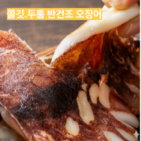 쫄깃한 반건조 오징어  10미 (대. 특대, 왕특대,파지)