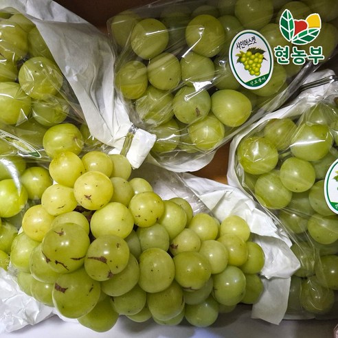 산지직송 샤인머스켓 당도보장, 가정용,4kg,4-8수, 1개