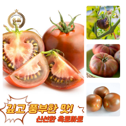 [굿피플] 흑토마토 쿠마토 토마토 방울토마토 흙토마토 스테비아흑토마토 흑방울토마토, 1박스, 흑토마토 3kg