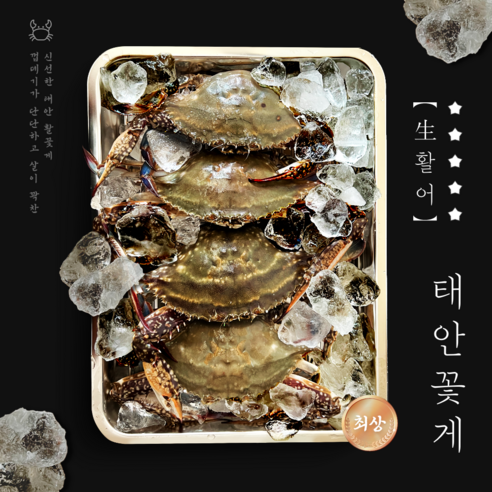 [태안직송] 암꽃게 제철 활꽃게 알배기 생물 꽃게