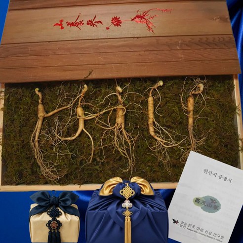 창무 강원도 횡성 야생 방치삼 자연산 산양삼 10년~20년 산삼, 10개, 15g