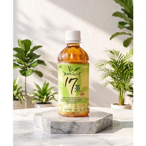 몸이 가벼워지는 시간 17차 십칠차 340ml x 20개
