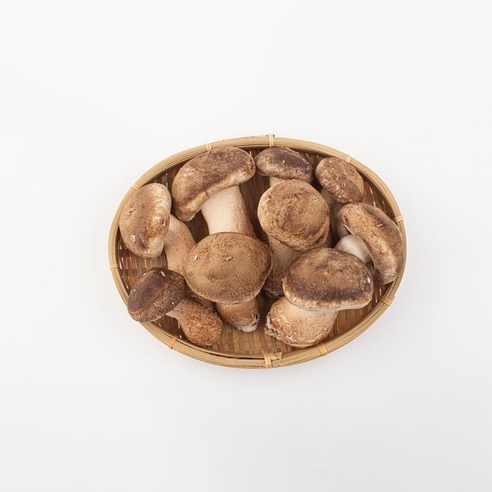 [미식한가] 국내산 생 표고 송고 버섯 송이 버섯, 1세트, (중품) 1.3kg