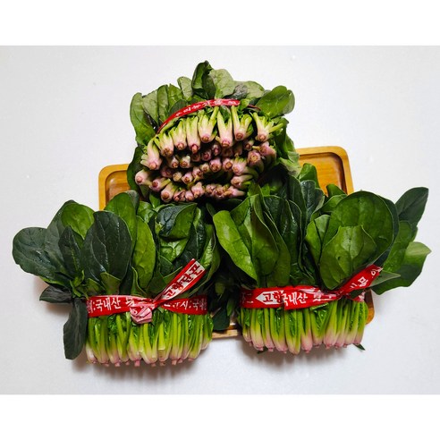 포항초 시금치 섬초 하우스 시금치, 500g