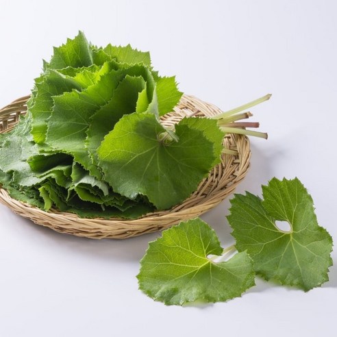 전라도 제철 머위대 머구대 머웃대 머위나물 1kg 내외 잎제거 (제주/강원도 도서산간 발송 불가)