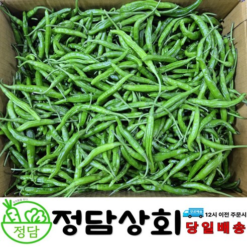 [ 정담상회 ] 국내산 꽈리고추 못난이고추 안매운고추 1kg,2kg,4kg