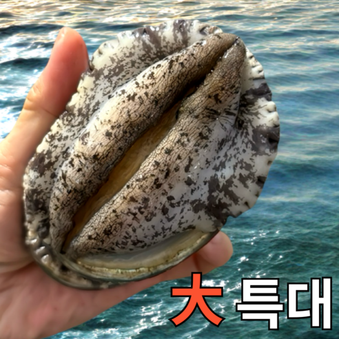 [파도스토리] 완도전복 2kg 왕특대 직거래 산지직송 산소포장 선물 세트