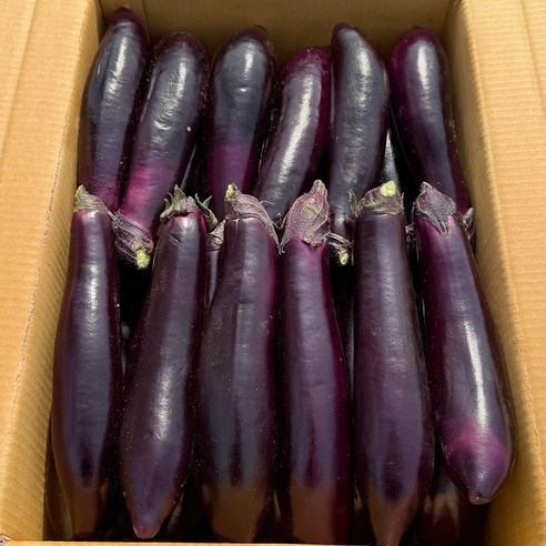 농진사 가지 국내산 특 부드럽고 진함 신선야채