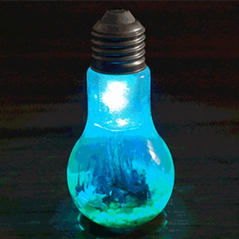 에디슨과학키트 LED화학정원만들기 전구형 1인용(6개입), 1세트