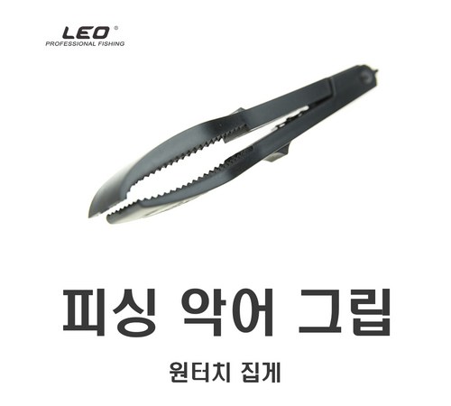 갈치집계의 다양한 종류