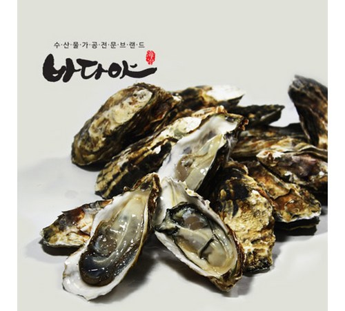 뿔소라 보관 및 손질 방법