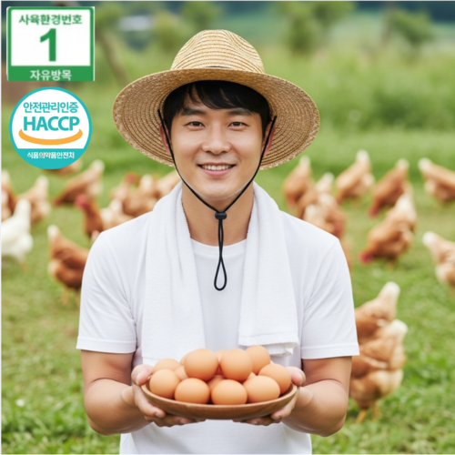 [3시이전 당일발송]  난각1번 자연방사 유정란 계란 방목사육 HACCP