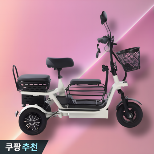 쇼넷 삼륜전기자전거 세발 접이식 어르신 전동 3륜 출퇴근 마실용 전동스쿠터 여성, 그린, 경량스틸