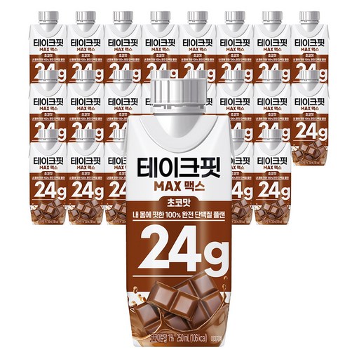 테이크핏 맥스 초코맛 프로틴