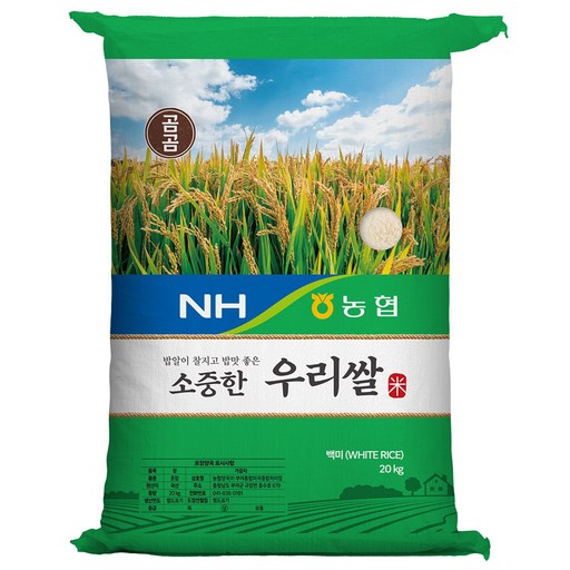 옵션 2 사진