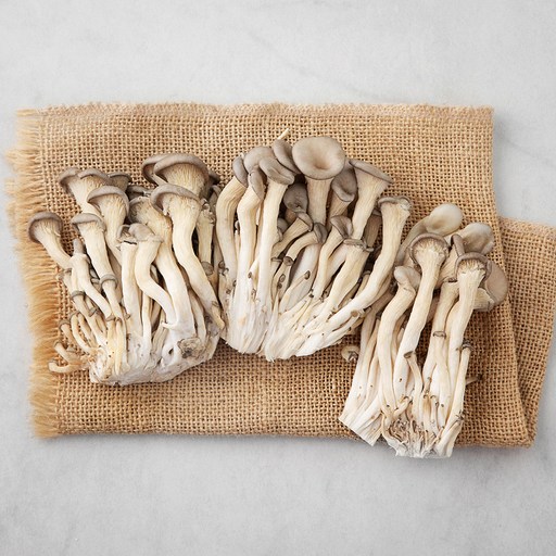 국내산 무농약 느타리버섯 신선하고 건강한 선택