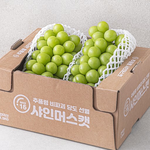 [로켓프레시] 한반도 비파괴 당도선별 샤인머스켓